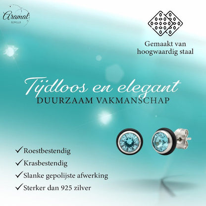 Ronde Stalen Oorbellen met Lichtblauwe Zirkonia - Aramat Jewels - Oorbellen - cadeautip