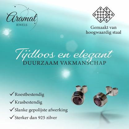 Oorbellen – Staal Licht Paarse Kristal (6mm)