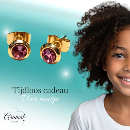 Zweerknopjes – RVS Goudkleurig met Roze Kristal (6mm)