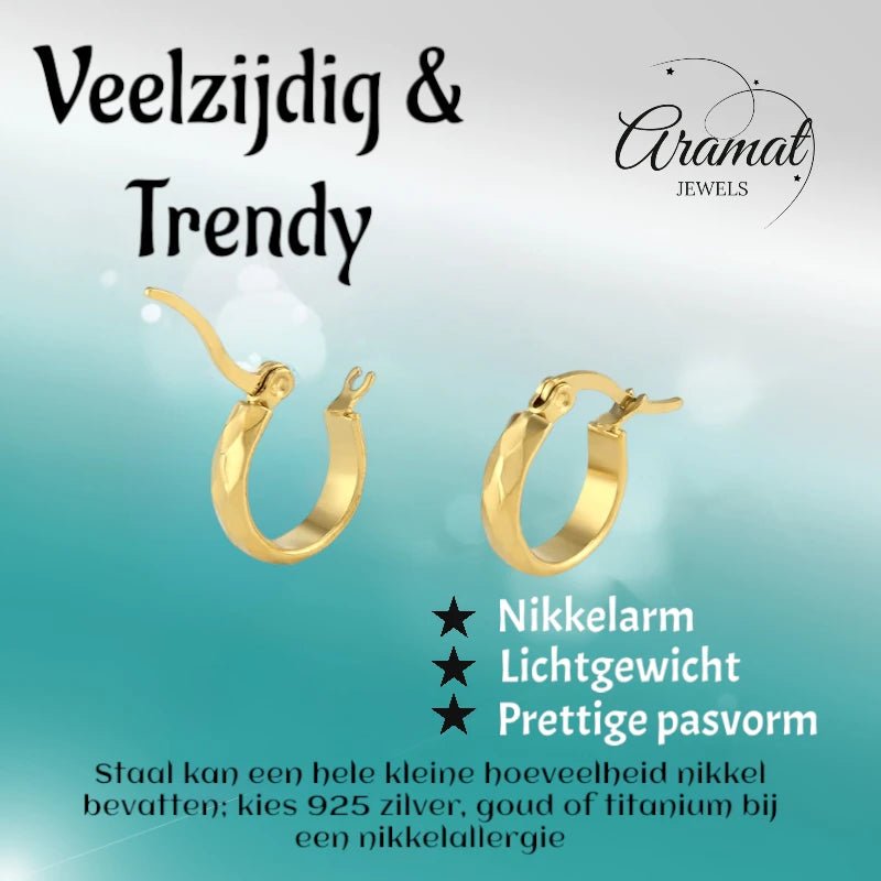 RVS Goudkleurige Oorringetjes 10mm - Kleine Hoops - oor2008 - fg - Oorringen kopen