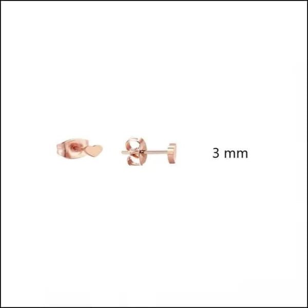 Een paar oorbellen met een kleine diamant