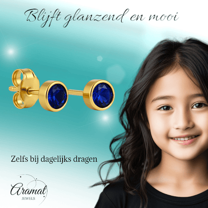 RVS Oorbellen met Donkerblauwe Zirkonia - 5mm - oor2065 - XE58221 - Oorbellen kopen# - 5mm - alles - blauw