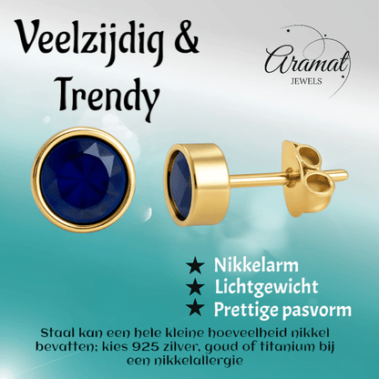 RVS oorbellen met donkerblauwe zirkonia – 6 mm - oor2763 - XE71670 - Oorbellen kopen# - 6mm - alles - blauw