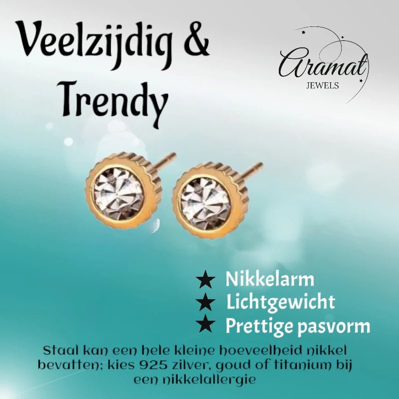 RVS oorbellen met kristal steentje 6mm - oor4418 - Oorbellen kopen# - 6mm - alles