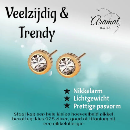 RVS oorbellen met kristal steentje 6mm - oor4418 - Oorbellen kopen# - 6mm - alles