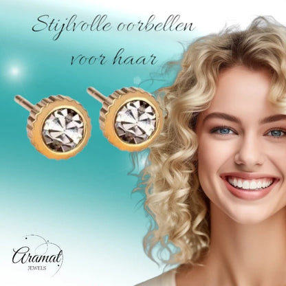 RVS oorbellen met kristal steentje 6mm - oor4418 - Oorbellen kopen# - 6mm - alles