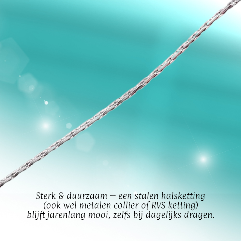 Chaîne serpent unisexe en acier inoxydable argenté