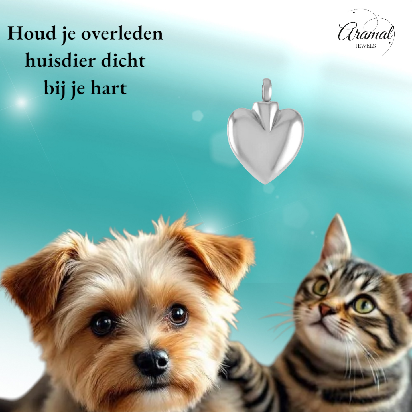 Hartvormig as sieraad van staal – gedenksieraad