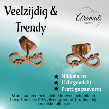 Stalen Infinity Oorbellen 11x5mm - Rosékleur - Forever - oor86 - Oorbellen kopen# - 11mm - alles