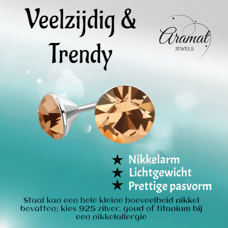 Stalen Kristal Oorbellen met champagnekleurig steentje – Zilverkleur – 4mm - Aramat Jewels - Oorbellen - cadeautip