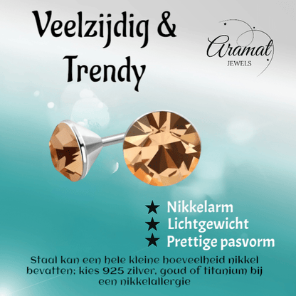Stalen Kristal Oorbellen met champagnekleurig steentje – Zilverkleur – 4mm - Aramat Jewels - Oorbellen - cadeautip