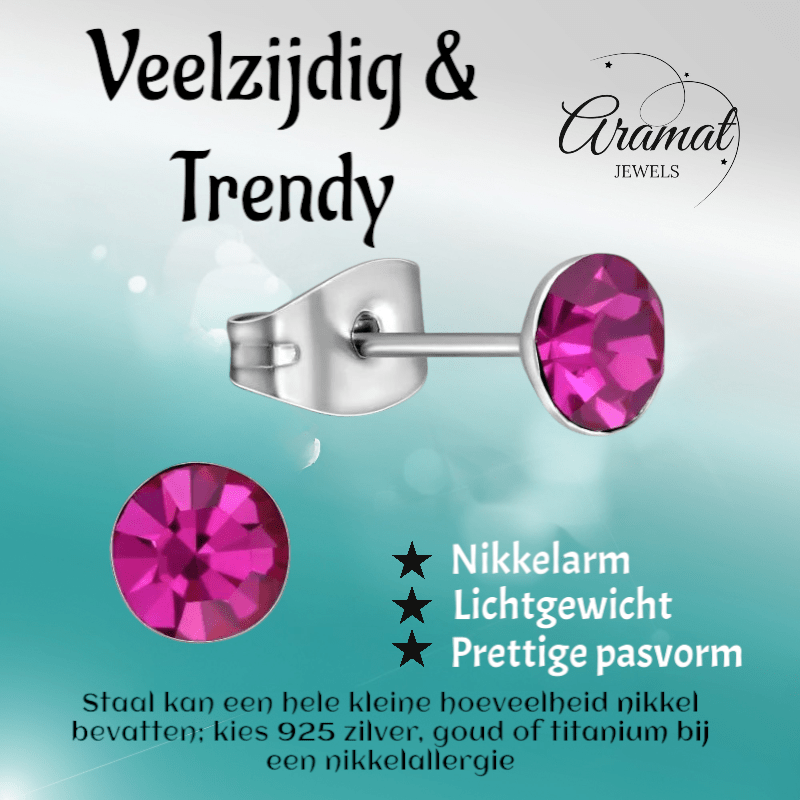 Stalen Kristal Oorbellen met fuchsiaroze steentje – Zilverkleur – 5mm - Aramat Jewels - Oorbellen - cadeautip