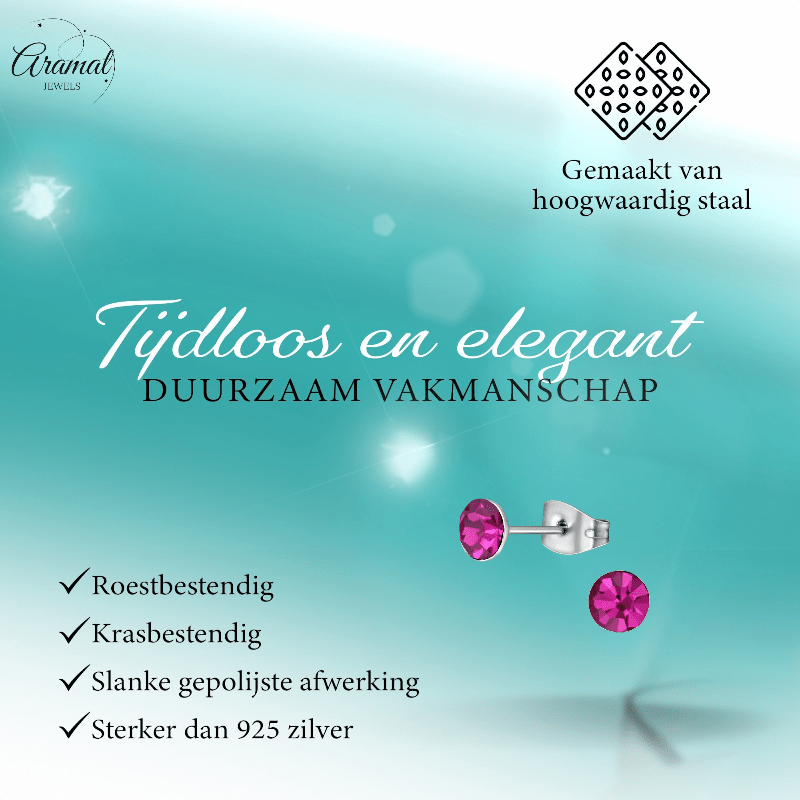 Stalen Kristal Oorbellen met fuchsiaroze steentje – Zilverkleur – 5mm - Aramat Jewels - Oorbellen - cadeautip