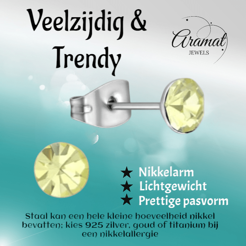 Stalen Kristal Oorbellen met jonquil steentje – Zilverkleur – 5mm - Aramat Jewels - Oorbellen - cadeautip
