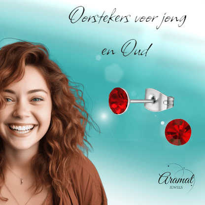 Stalen Kristal Oorbellen met lichtrode steentjes – Zilverkleur – 5mm - Aramat Jewels - Oorbellen - cadeautip