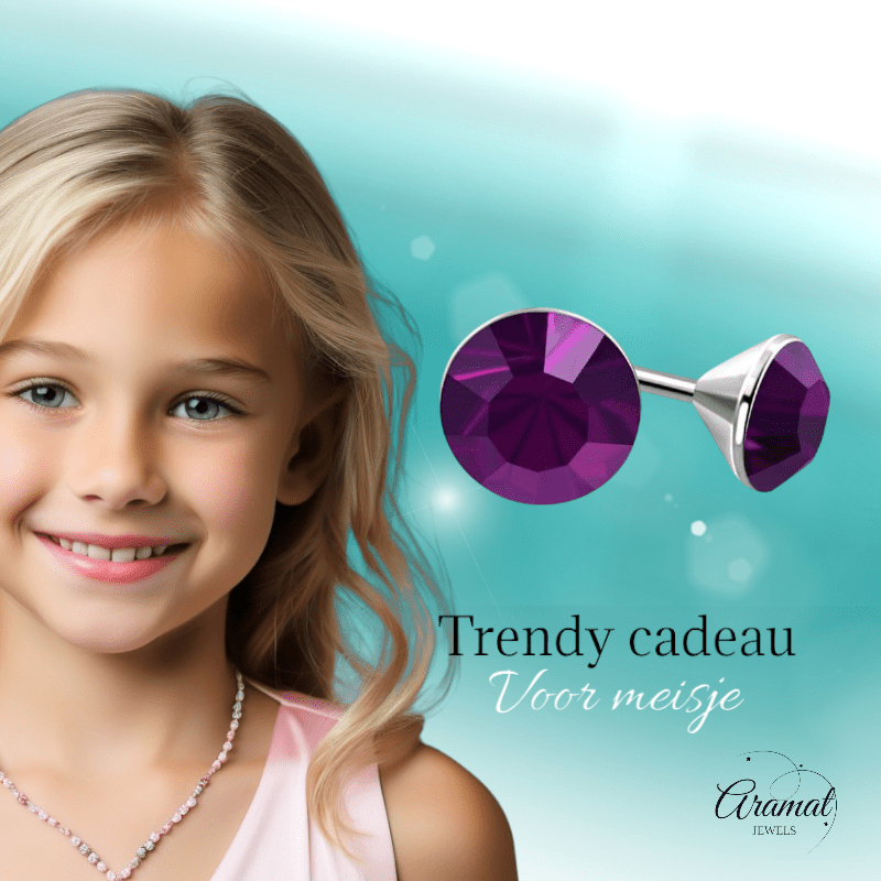 Stalen Kristal Oorbellen met paars steentje – Zilverkleur – 3mm - Aramat Jewels - Oorbellen - cadeautip