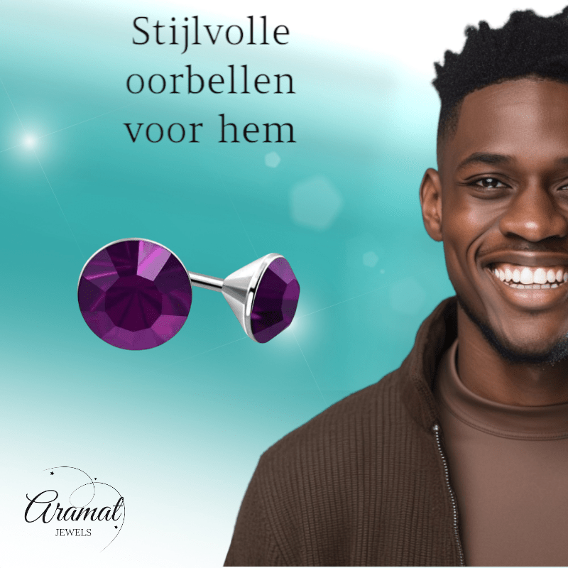Stalen Kristal Oorbellen met paarse steentjes – Zilverkleur – 4mm - Aramat Jewels - Oorbellen - cadeautip