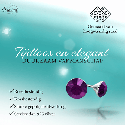 Stalen Kristal Oorbellen met paarse steentjes – Zilverkleur – 4mm - Aramat Jewels - Oorbellen - cadeautip
