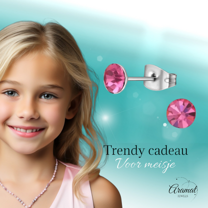 Stalen Kristal Oorbellen met roze steentje – Zilverkleur – 5mm