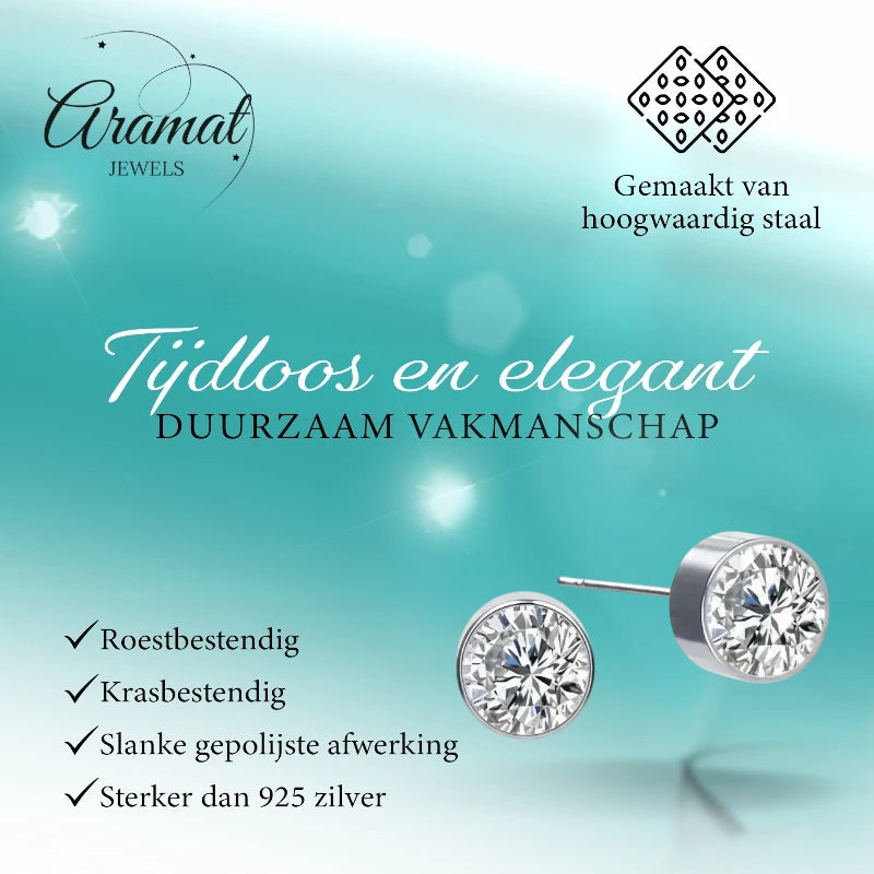Oorstekers – Staal Kristal Transparant Zilverkleur (6mm)