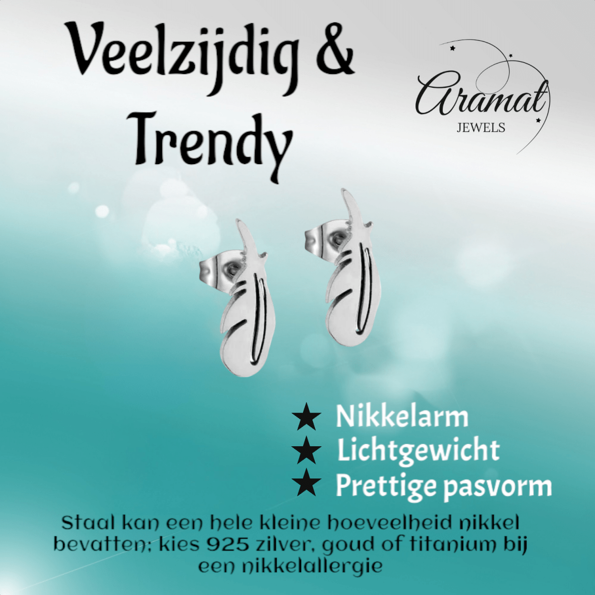 Stalen Oorbellen Veertjes Zilverkleur – 9x3mm - Aramat Jewels - Oorbellen - cadeautip