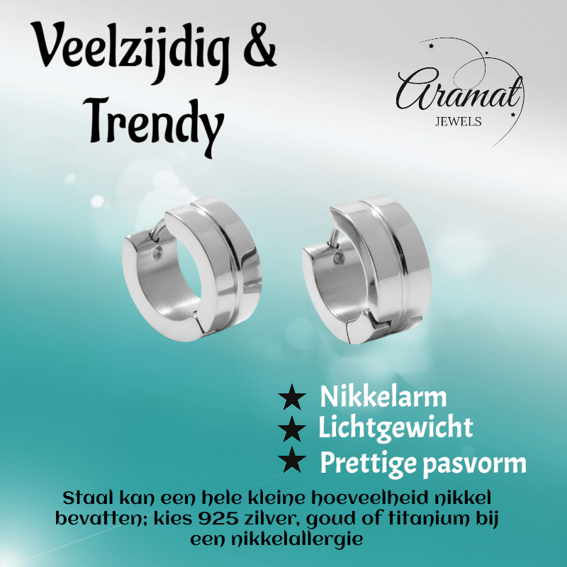 Stalen Oorringetjes Zilverkleur Accent – 13x7mm Huggies - Aramat Jewels - Oorringen - cadeautip