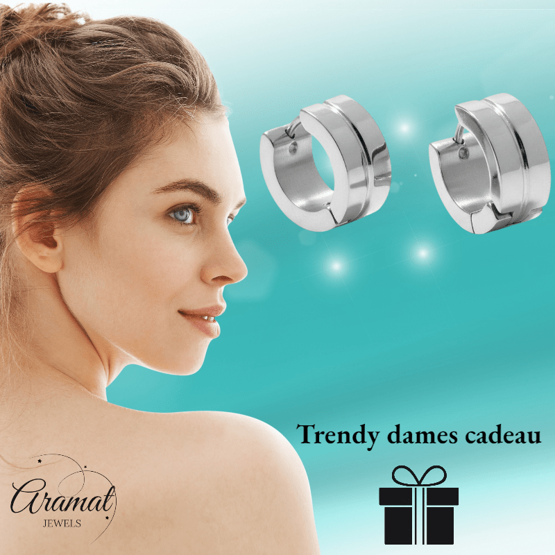 Stalen Oorringetjes Zilverkleur Accent – 13x7mm Huggies - Aramat Jewels - Oorringen - cadeautip