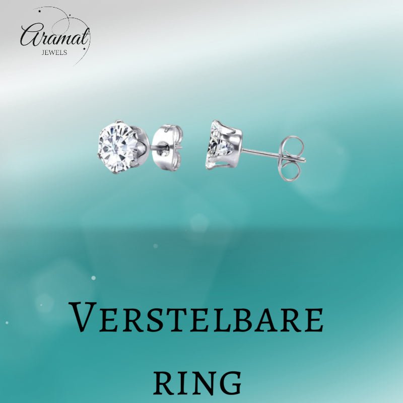 Stalen Oorstekers met Transparante Zirkonia - Rond - Aramat Jewels - Oorbellen - cadeautip