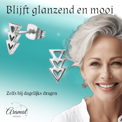 Stalen Pijltjes Oorbellen Zilverkleur 9x5mm - oor3318 - 29800 - Oorbellen kopen# - 9mm - alles - cadeau