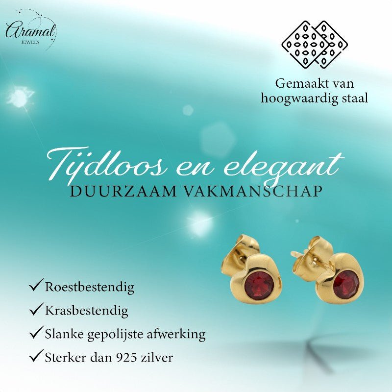 Stalen Rode Zirkonia Hart Oorbellen - Aramat Jewels - Oorbellen - cadeautip