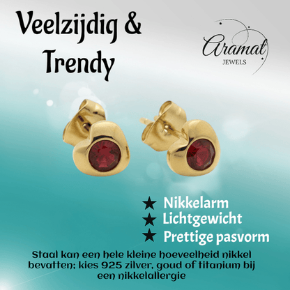 Stalen Rode Zirkonia Hart Oorbellen - Aramat Jewels - Oorbellen - cadeautip
