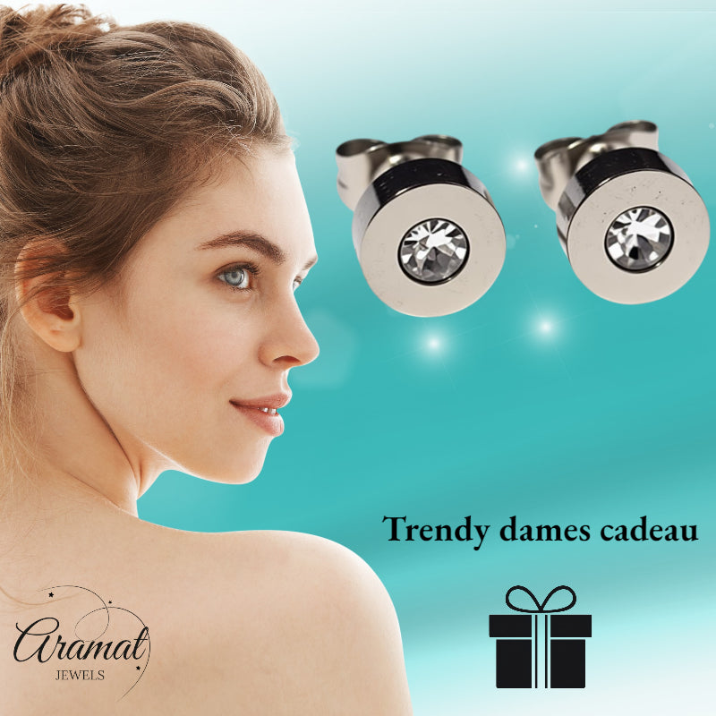 Oorbellen – RVS Transparant Kristal Zilverkleurig (7mm)