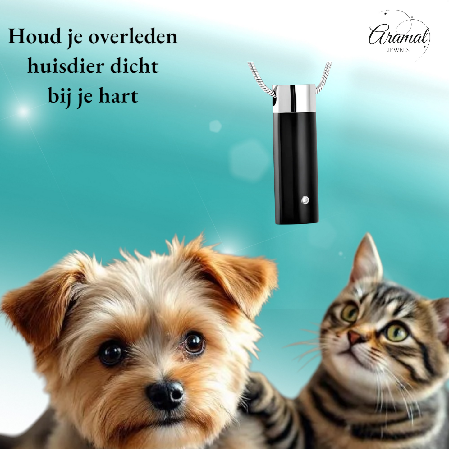 Ashanger buis zilver-zwart met zirkonia RVS