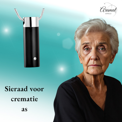 Ashanger buis zilver-zwart met zirkonia RVS