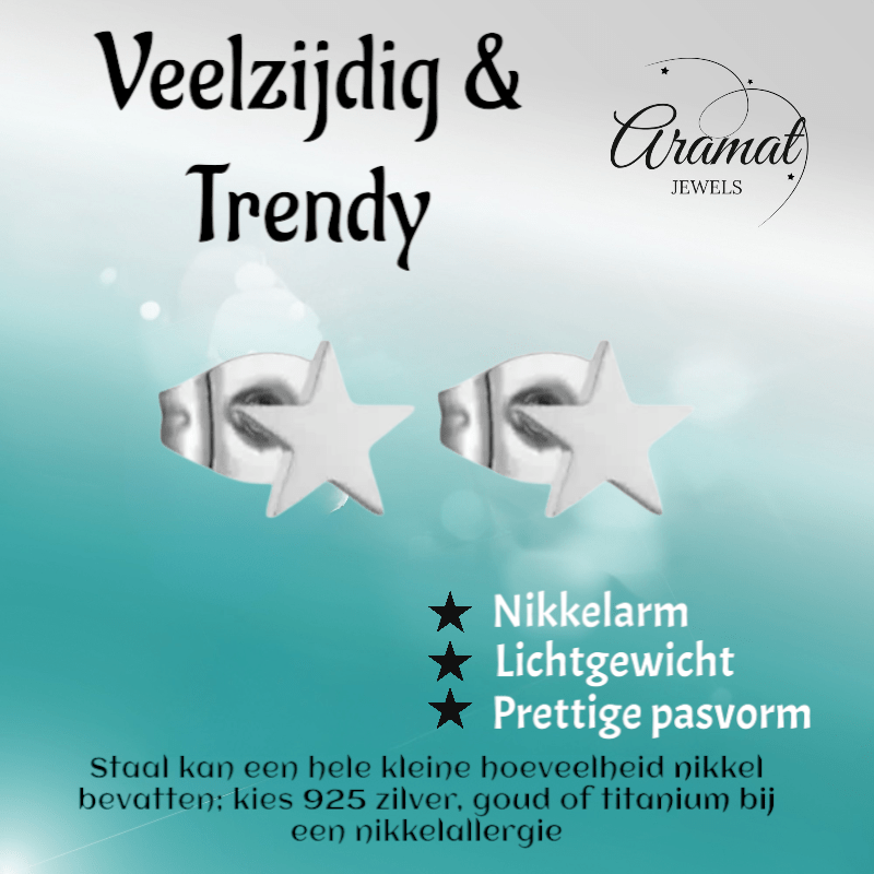 Ster oorstekers zilverkleur RVS – 6mm tijdloos - Aramat Jewels - Oorbellen - cadeautip