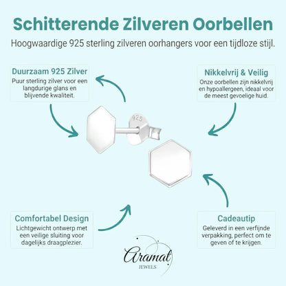 Stijlvolle Zilveren Oorbellen - Aramat Jewels® - Aramat Jewels - Oorbellen - cadeautip