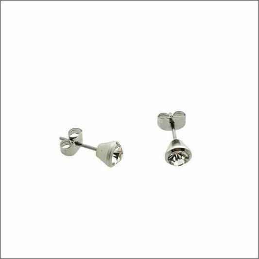 Een paar zilveren oorbellen