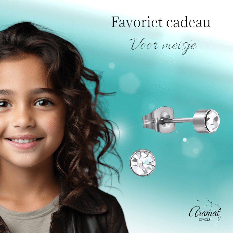 Transparante kristal oorstekers – 4mm zilver RVS - Aramat Jewels - Oorbellen - cadeautip
