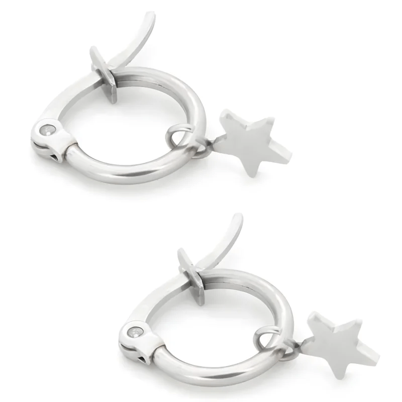 Een paar zilveren oorbellen met sterren