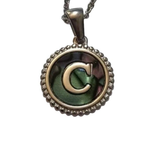 Unieke Stalen Initiaal Ketting met Abalone Schelp - Zilverkleur - 45cm - Aramat Jewels - Halskettingen - cadeautip