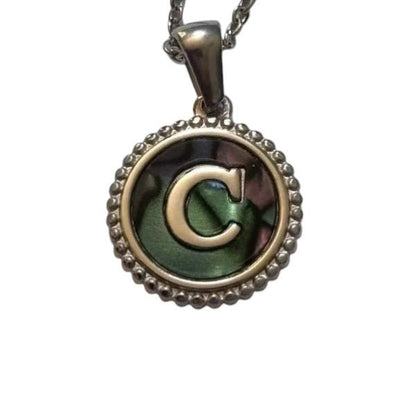 Unieke Stalen Initiaal Ketting met Abalone Schelp - Zilverkleur - 45cm - Aramat Jewels - Halskettingen - cadeautip