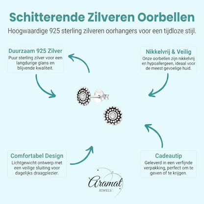 Zilveren Bali Oorbellen met Kristal – 6mm - Aramat Jewels - Oorbellen - cadeautip