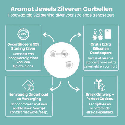 Zilveren Bolletjes Oorbellen 925 Zilver - Aramat Jewels - Oorbellen - cadeautip