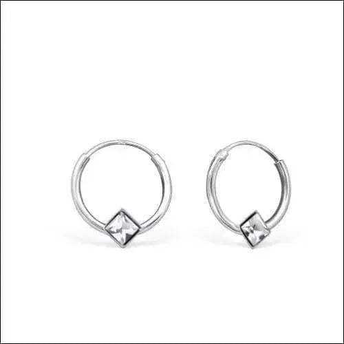 Een paar zilveren hoepeloorbellen