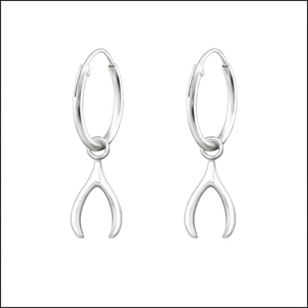 Een paar zilveren hoepeloorbellen