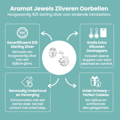 Zilveren Kristal Oorbellen 925 Zilver - Stralende Rondes - Aramat Jewels - Oorbellen - cadeautip