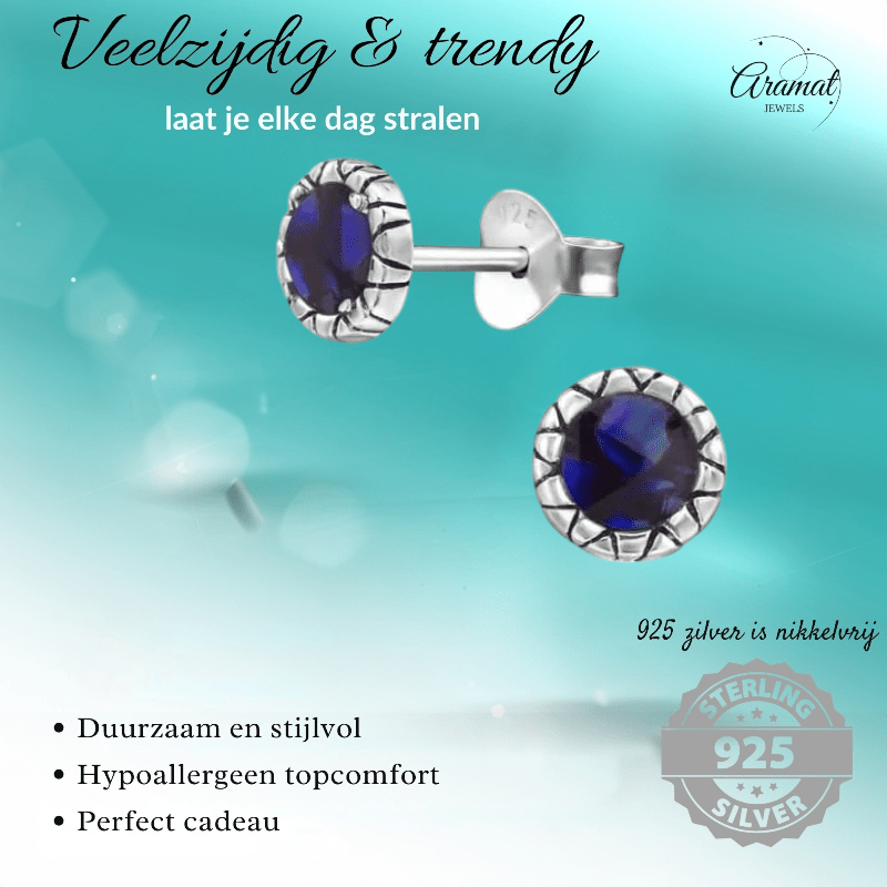 Zilveren Paarse Abalone Oorbellen 5 mm - oor5185 - 30950 - Oorbellen kopen# - 5mm - 925 Zilver - Abalone