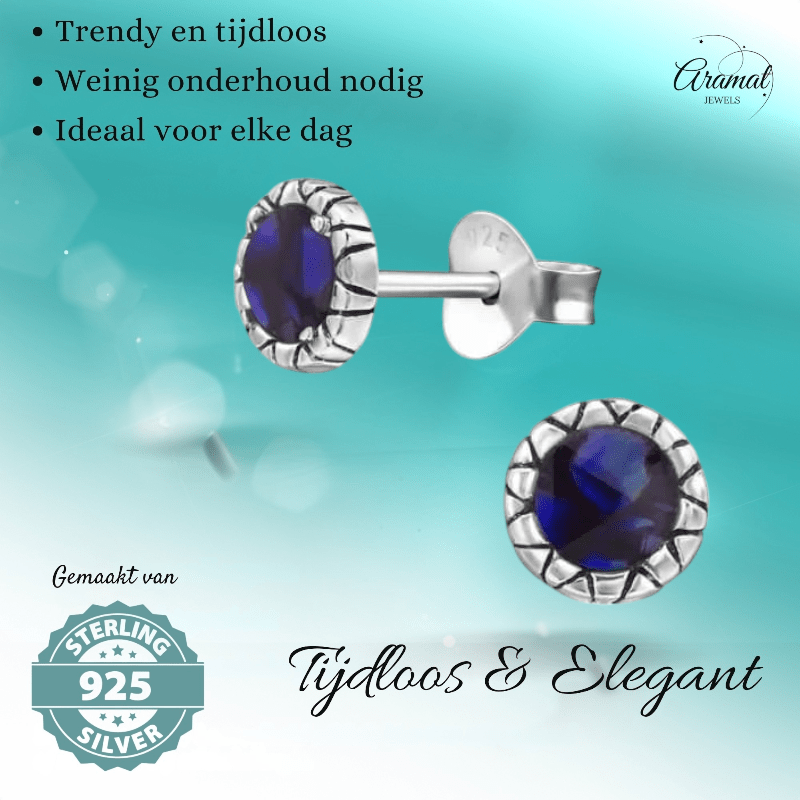 Zilveren Paarse Abalone Oorbellen 5 mm - oor5185 - 30950 - Oorbellen kopen# - 5mm - 925 Zilver - Abalone