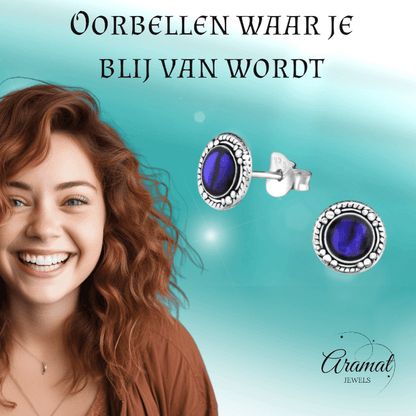 Zilveren Paarse Abalone Oorbellen 8 mm dames - oor978 - Oorbellen kopen# - 8mm - 925 Zilver - Abalone