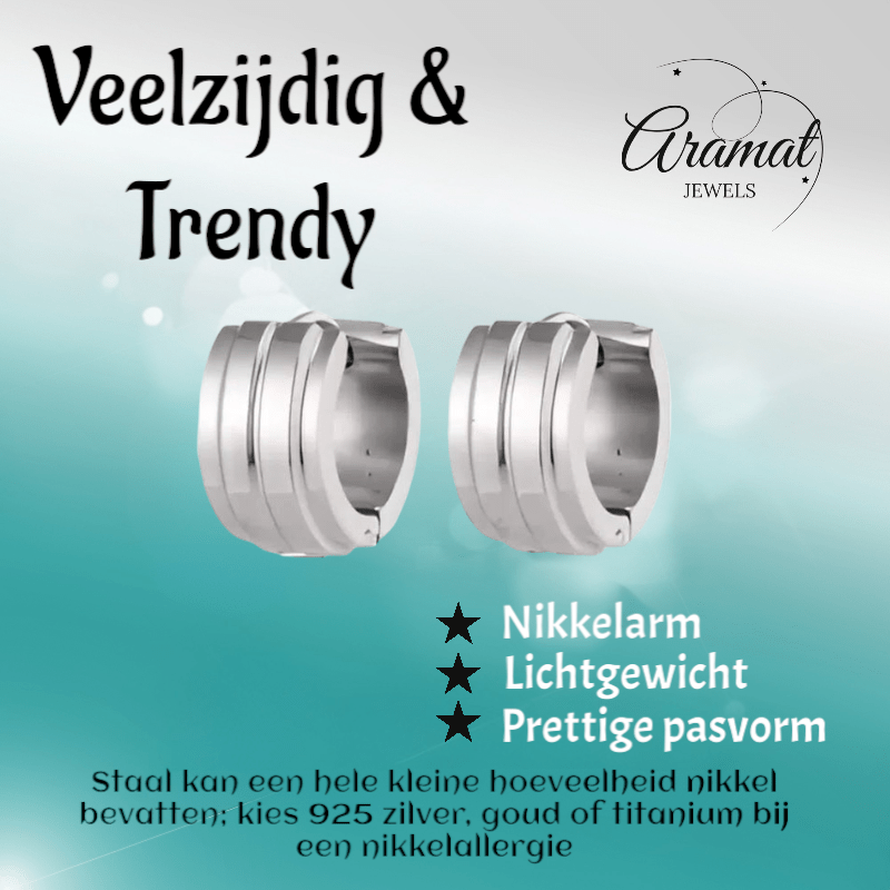 Zilverkleurige Klapcreolen - RVS - Twee Strepen - 13 mm - Uniseks - oor5786 - se20003 - Oorringen kopen# - 13mm - alles - cadeau